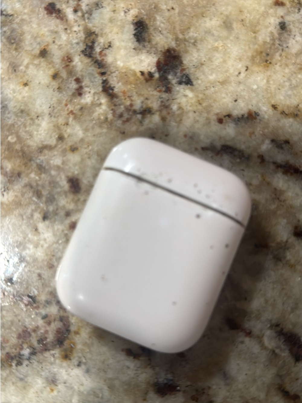 Apple White Earbud Charging Case